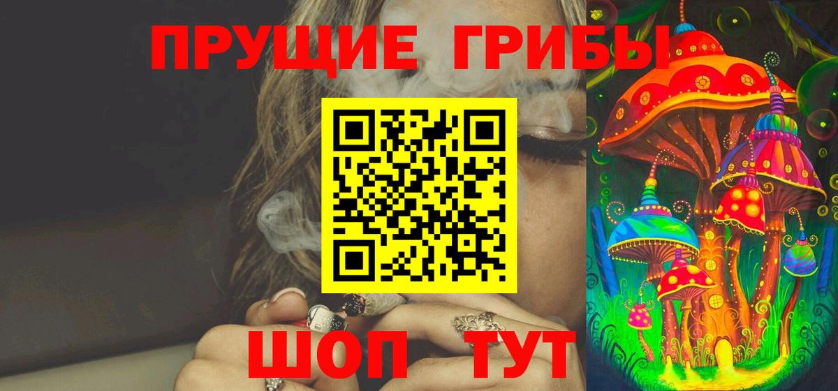 Псилоцибиновые грибы Psilocybine cubensis Ипатово